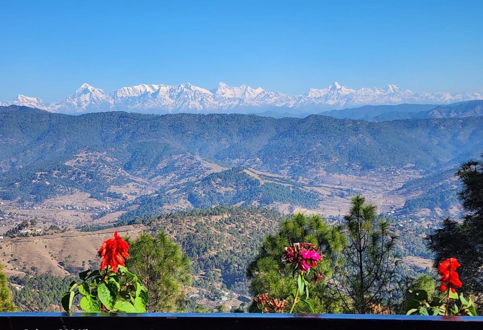 Nandini Cottage, A Premium Boutique Homestay Ranikhet Exterior photo